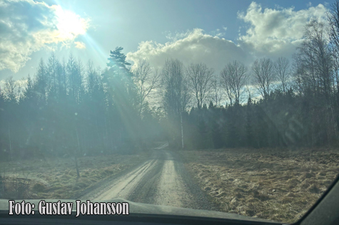 © Gustav Johansson.