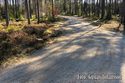 © Gustav Johansson.