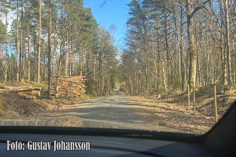 © Gustav Johansson.